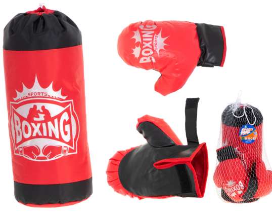 Punching bag and gloves set for boxing