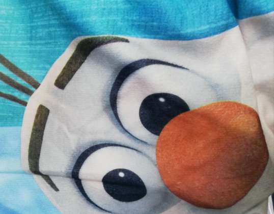 TOP Angebot Restposten Disney Bettwäsche ANNA & ELSA