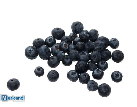 Heidelbeeren | 10kg Packung | TK