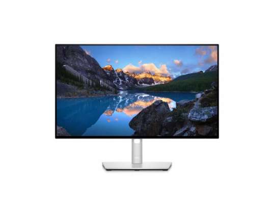 DELL UltraSharp U2422HE 61 cm (24 Zoll) 1920 x 1080 Pixel Full HD LCD Schwarz, Silber