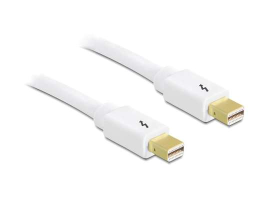 DeLOCK 0.5m Thunderbolt 0,5 m 10 Gbit/s Wit