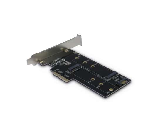 Inter-Tech KT015 tarjeta de interfaz y adaptador interno M.2, SATA