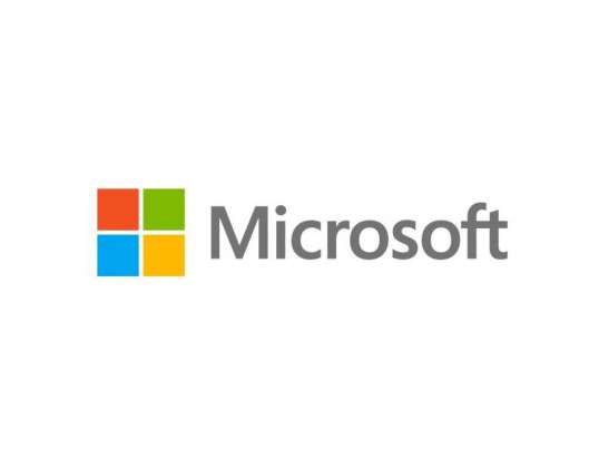 Microsoft Windows Server Standard 2022