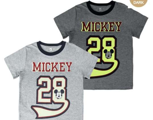 camiseta menino da disney