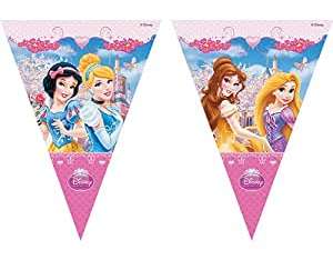 Disney Princess   Plastik Flaggen Banner