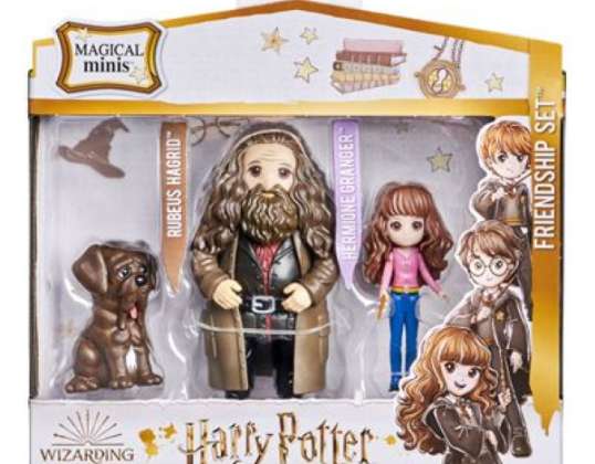 Spin Master - Playset Wizarding World con Hermione Granger e Rubeus Hagrid