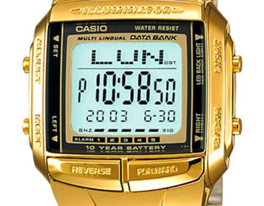 CASIO Databank DB-360G-9A