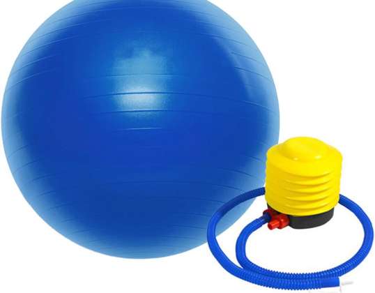 King Lion gym ball 65 cm azul con bomba P8703