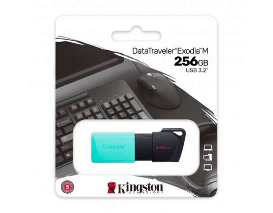 Kingston DataTraveler Exodia M 256 GB USB 3.2 Gen 1 DTXM/256 GB