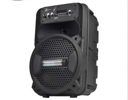Lautsprecher Hi-Fi Jerry Power 8&#34; karaoke reproduktor A8