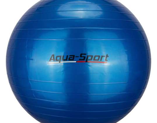 REHABILITATION FITNESS GYMNASTIC BALL 55cm BLUE AS0055