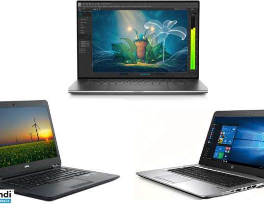 Set van 10 gebruikte laptops - DELL & HP merken - Niet-geteste batterijen