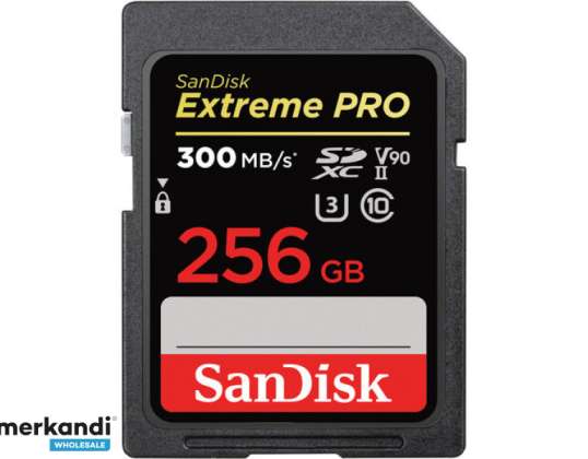 SanDisk Extreme PRO SDXC 256 ГБ CL10 300 МБ/с 260 МБ/с SDSDXDK 256G GN4IN