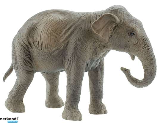 Vadon élő állatok Indiai elefánt tehén karakter
