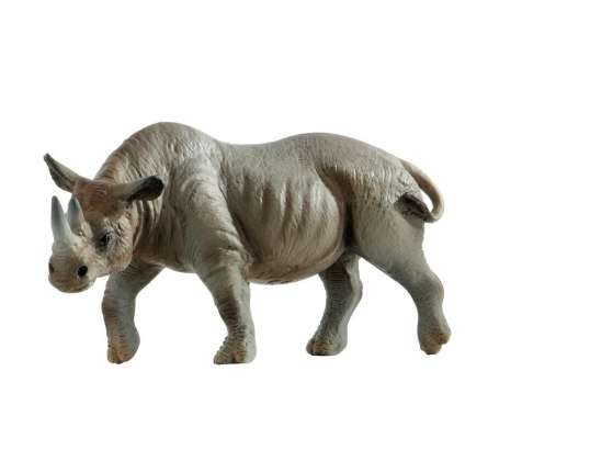 Дикі тварини Чорний носоріг характер