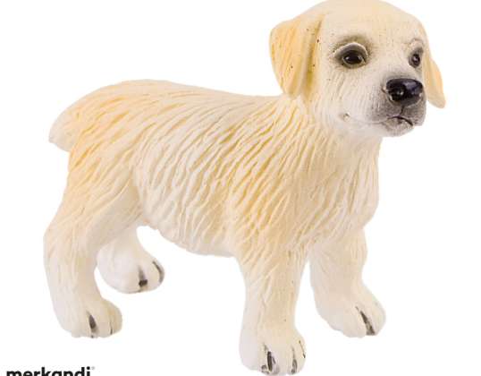 Dog Series Golden Retriever Puppy Sunny Karakter