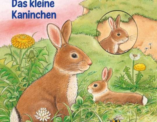 Odkrijte knjigo o živalih Mali zajec