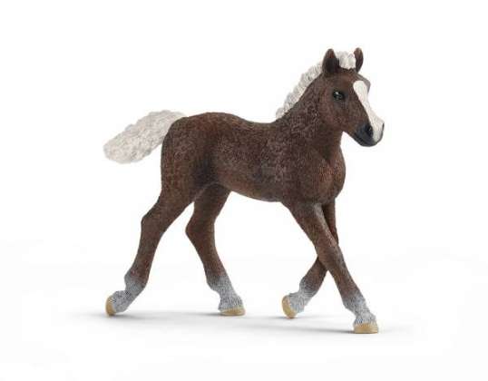 Schleich 13899 Figurine Black Forest Foal