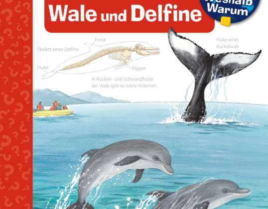 Why? Why? Why? / We Discover Whales and Dolphins Volume 41