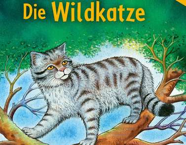 Le livre Wildcat