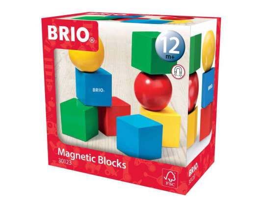 BRIO 30123 Magnetic Wooden Building Blocks