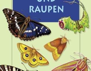 Ensslin's Little Nature Guide Liten naturguide Sommerfugler og larver