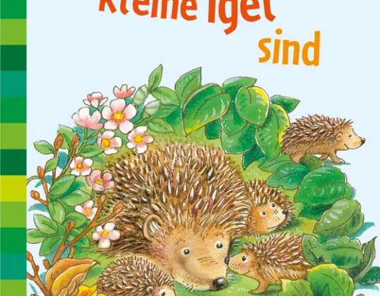 Wendt  Wo kleine Igel sind