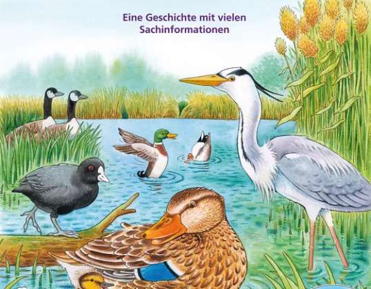 Eine Tier Geschichte mit vielen Sachinformationen    Reichenstetter  Die kleine Ente und ihre Freunde