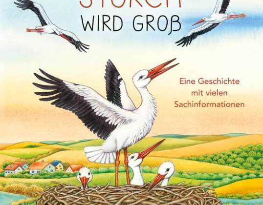 Reichenstetter A little stork grows up