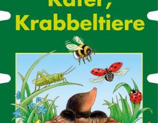 Bandolino Bandolino komplekt 67 mesilaste mardikad jube roomavad