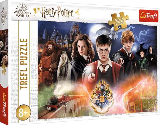 Harry Potter Puzzle 300 pieces