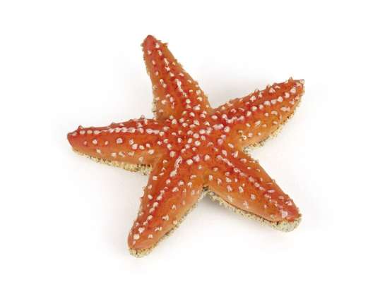 Papo 56050 jūrų žvaigždės figūrėlė