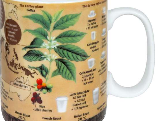 Caneca de Café Conhecimento Caneca / Caneca 490 ml