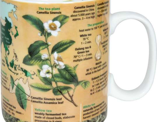 knowledge mug tea mug / mug 490 ml