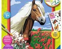 Haflinger painting by numbers