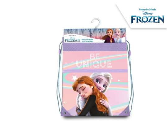 Disney Frozen Frozen Gym Bag