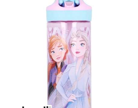 Frozen / Frozen Water Bottle 620 ml