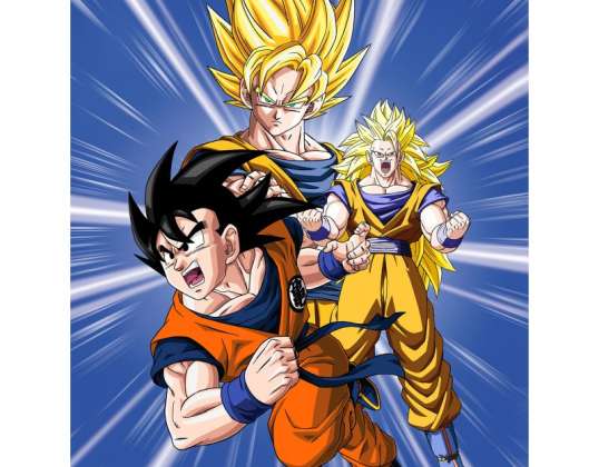 Dragonball Z fleece deka 130 x 170 cm