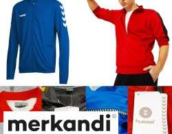 Men's Branded Sports Sweatshirts | Variety of Styles