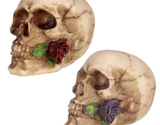 Craniu cu trandafiri între dinți pe bucată