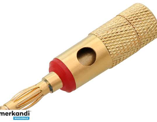 Bananenstecker GOLD gedreht BIG RED