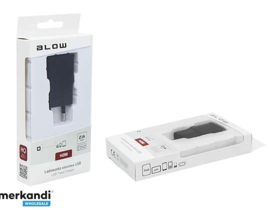 Wall charger with gn. USB 2 1A H21B'