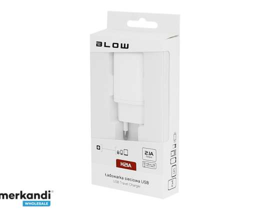 Wall charger USB 2 socket 1A H21A