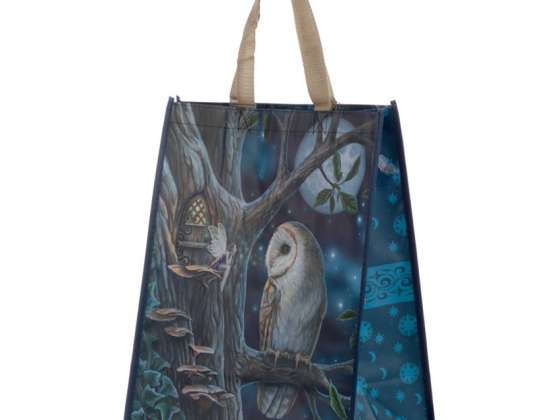 Lisa Parker Fairy Tale Owl and Fairy Shopping Bag