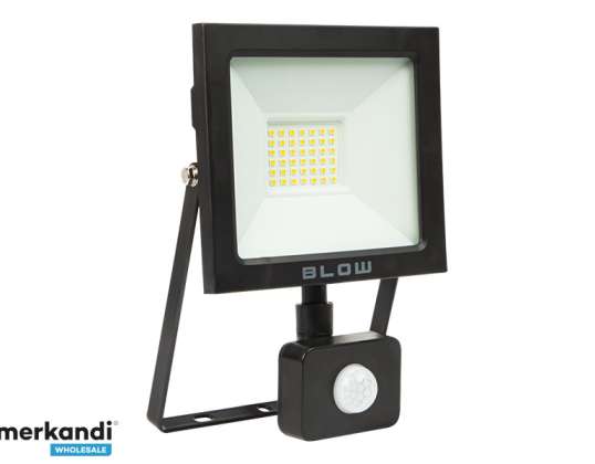 Halogeninė lempa LED/PIR SMD 30W šviesa