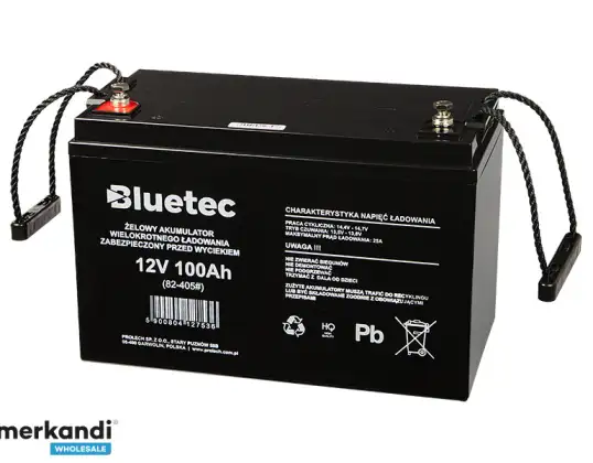 Batería de gel 12V/100Ah BLUETEC
