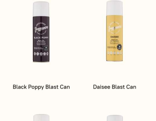 Wholesale Designer Fragrance Blast Can 300ml Pack of 12 - Various Scents
