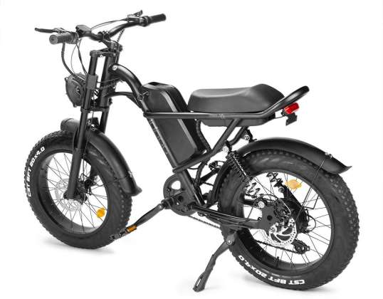 ELEKTRISCHES FATBIKE 500w Erwachsener Kind