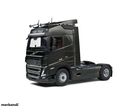 Solido   1:24 Volvo Globetr.schwarz