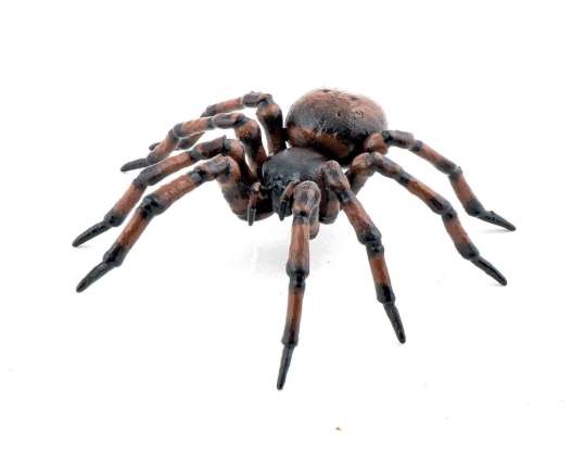 Papo 50292 Figurine Mean Spider